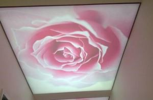 Filme de PVC macio apropriado para a impressão